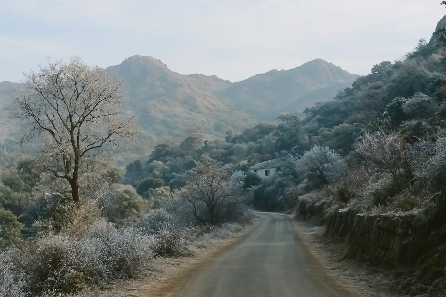 Mount Abu in Winter - YahTrip Travel Guide