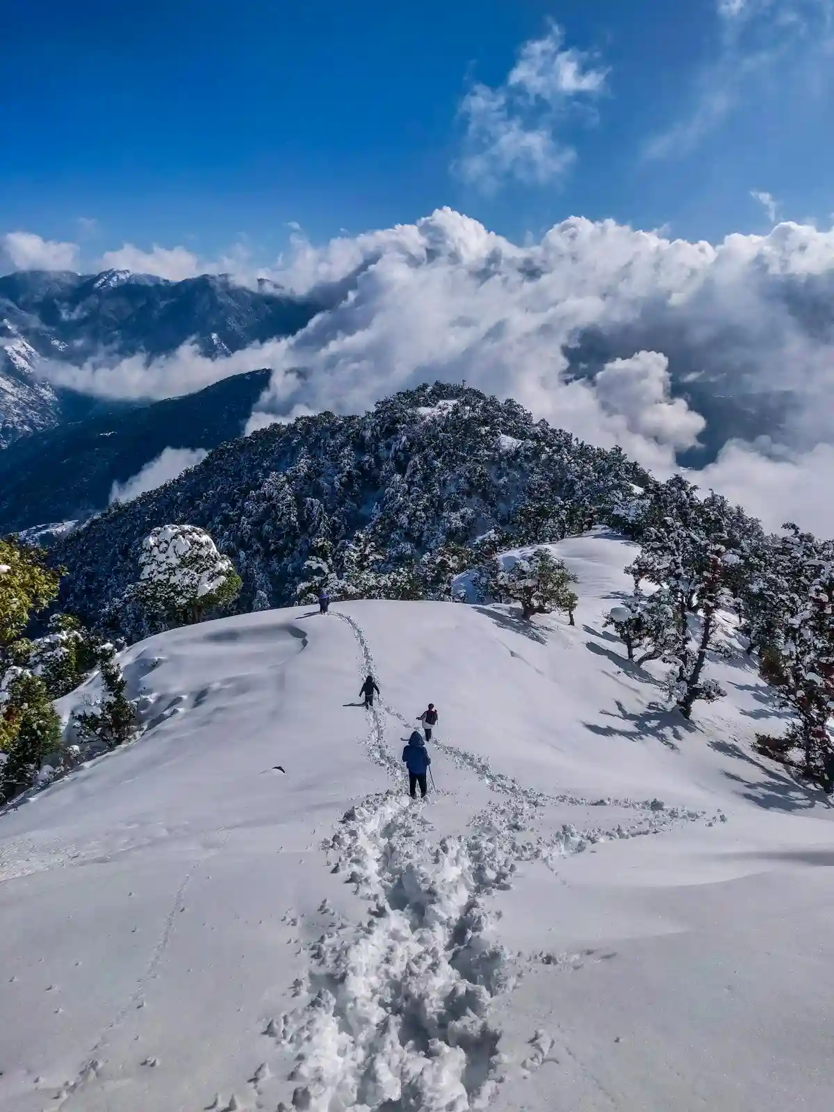 Manali Solang Snow Escape & Kasol River Tour - Tour Package